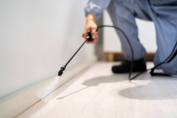 Licensed Rodent Control service in Madison County County, OH - Nex Pest Control