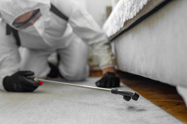 Professional Rodent Control technician working in Madison County County, OH